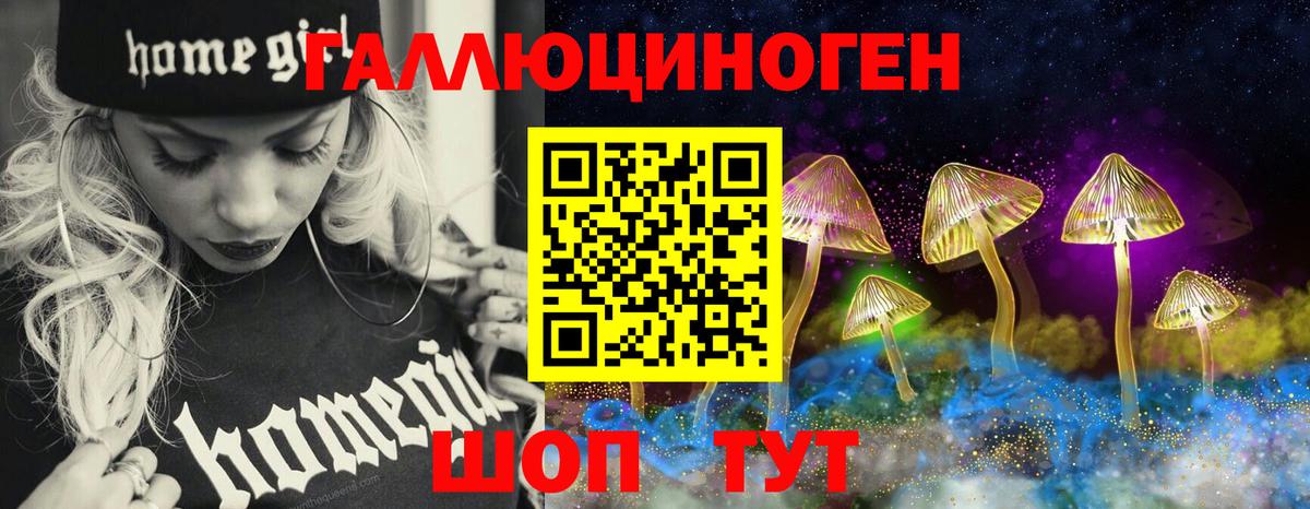 Долгопрудный  Псилоцибиновые грибы Psilocybe  Вход с VPN 